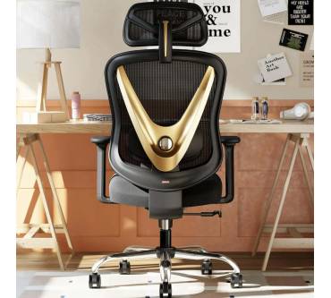 Produktbild Holludle Ergonomischer Bürostuhl V