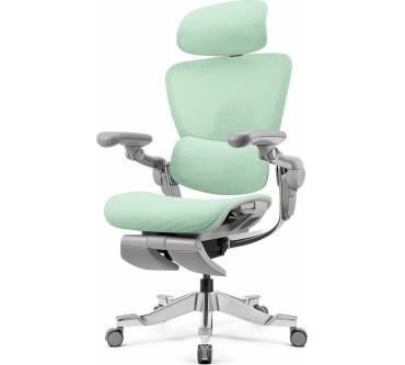 Produktbild Hinomi H2 Pro