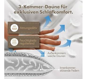 Produktbild Lileno Home 3-Kammer-Kopfkissen