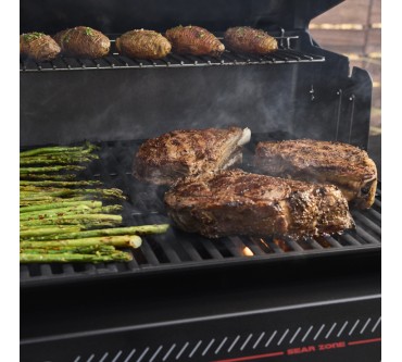 Produktbild Weber Genesis E-330WR