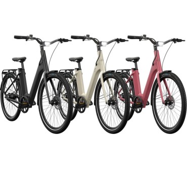 Produktbild Lidl / Crivit Urban Y.3 E-Bike Gates Riemenantrieb