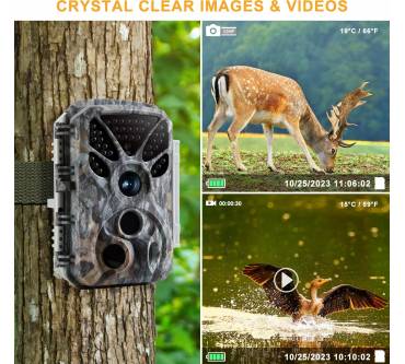 Produktbild BlazeVideo T326