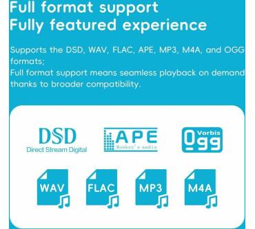 Produktbild FiiO Snowsky Echo Mini