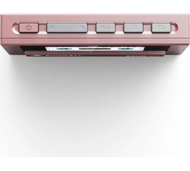 Produktbild FiiO Snowsky Echo Mini