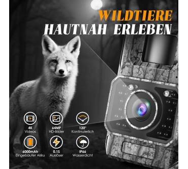 Produktbild MAXDONE PH960W-CT