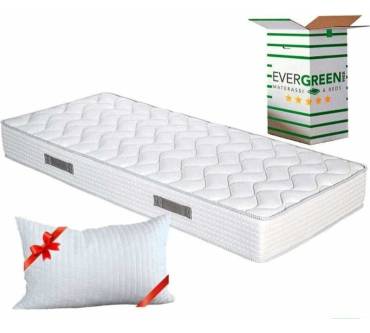 Produktbild Evergreen Big Fashion (20 cm)