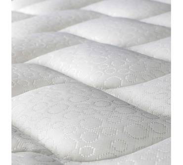 Produktbild Evergreen Big Fashion (20 cm)