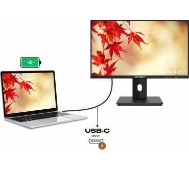 Produktbild JapanNext JN-I215FLFHSP-C65W