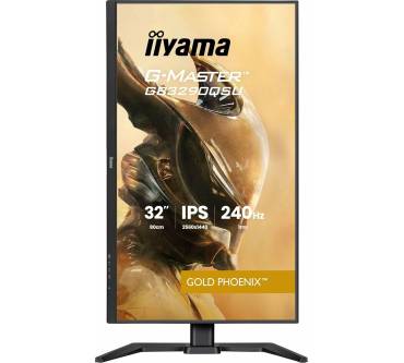 Produktbild Iiyama G-Master GB3290QSU-B1 Gold Phoenix