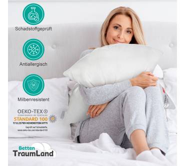 Produktbild Betten Traumland Arktic Kassetten Daunendecke Übergangsdecke