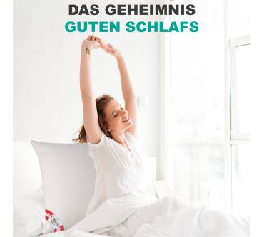 Produktbild Betten Traumland Arktic Kassetten Daunendecke Übergangsdecke