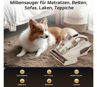 Produktbild Jimmy BX6 Lite