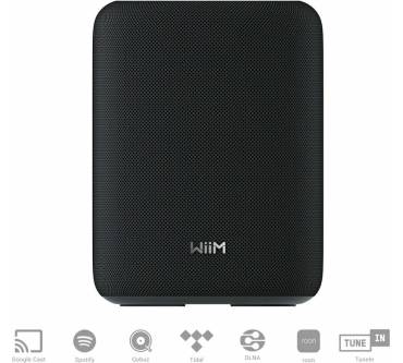 Produktbild WiiM Sound Lite