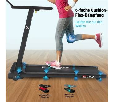 Produktbild AsVIVA T21