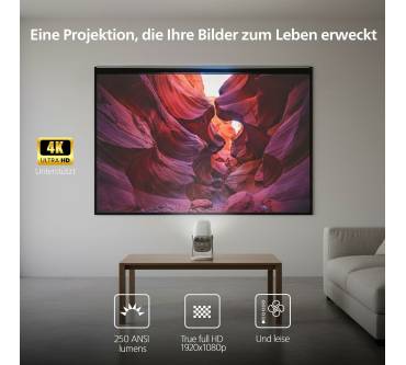 Produktbild Philips NeoPix 244