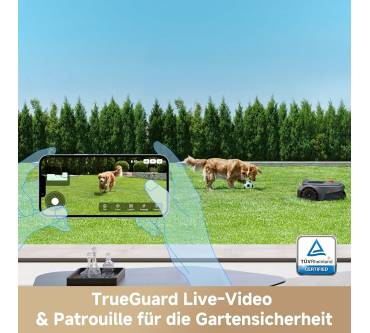 Produktbild Mova ViAX 250