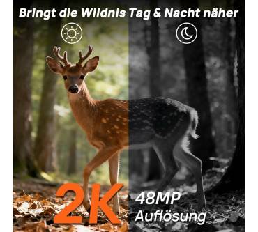 Produktbild iZEEKER iG440