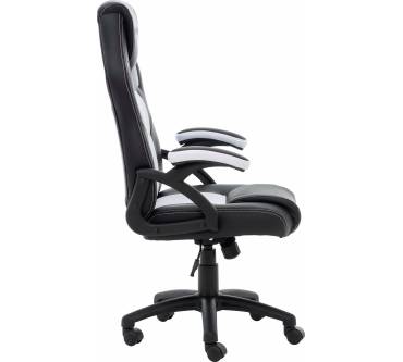 Produktbild Raptor Gaming RS-GS-40