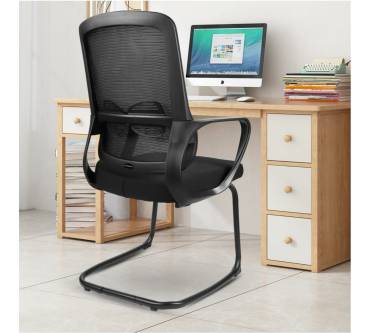 Produktbild Eucladoceros Freischwinger