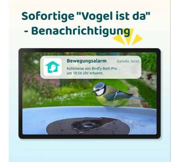 Produktbild Birdfy Bird Bath Pro