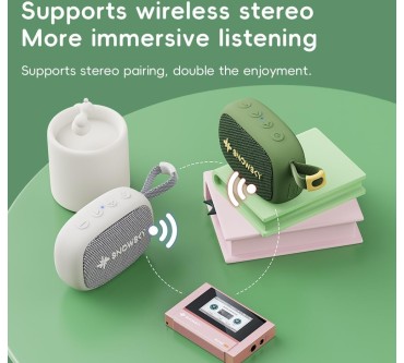 Produktbild FiiO Snowsky Anywhere