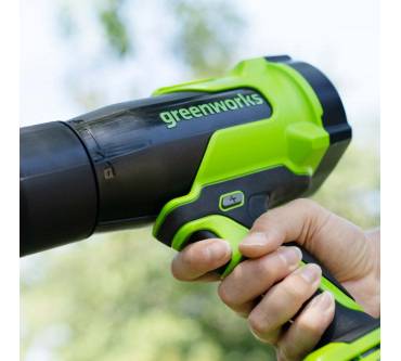 Produktbild Greenworks BLH22S