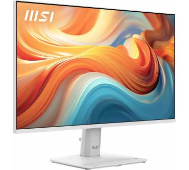 Produktbild MSI PRO MP251W E14A