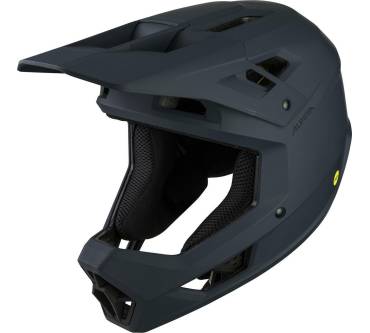 Produktbild Alpina Pikes MIPS