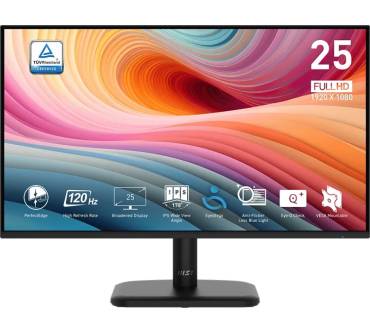 Produktbild MSI PRO MP251LDE E2