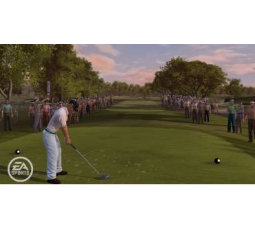 Produktbild Tiger Woods PGA Tour 2010
