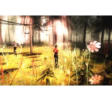 Produktbild The Path