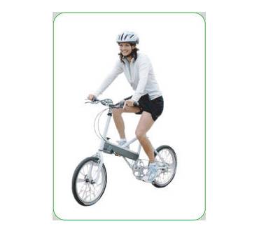 Produktbild Zigo Leader