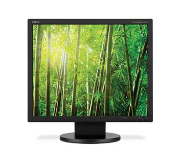 Produktbild NEC AccuSync AS191