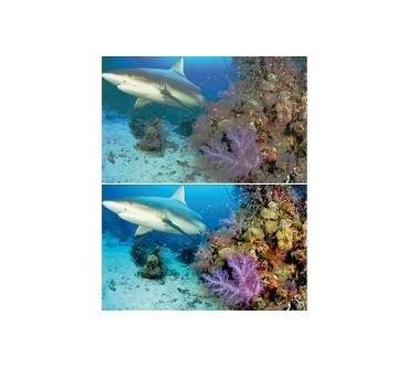 Produktbild Franzis Scuba Image