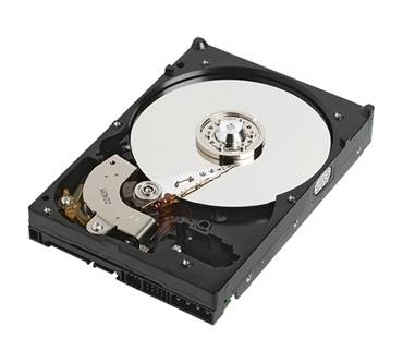Produktbild Western Digital Special Edition 16 WD2500AAKS (250 GB)