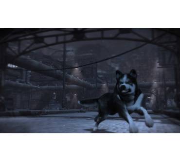 Produktbild Dead to Rights: Retribution