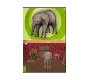 Produktbild Mein eigener Tierbaby-Zoo