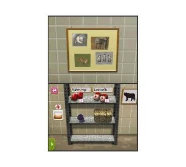 Produktbild Mein eigener Tierbaby-Zoo