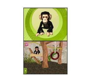 Produktbild Mein eigener Tierbaby-Zoo