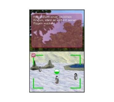 Produktbild Mein eigener Tierbaby-Zoo