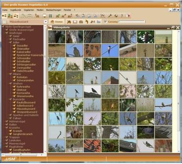 Produktbild USM - United Soft Media Der große Kosmos Vogelatlas 6.0