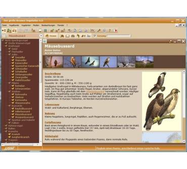 Produktbild USM - United Soft Media Der große Kosmos Vogelatlas 6.0