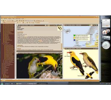 Produktbild USM - United Soft Media Der große Kosmos Vogelatlas 6.0
