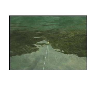 Produktbild Reel Fishing: Angler's Dream (für Wii)