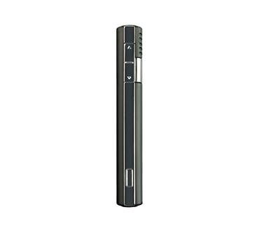 Produktbild Garmin Nüvi 295W