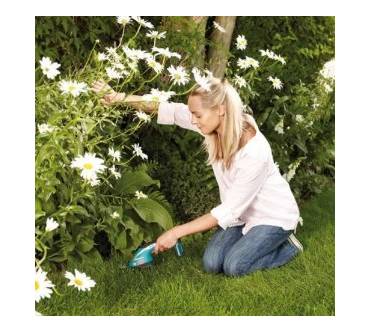 Produktbild Bosch AGS 10,8 Li