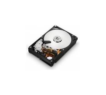 Produktbild HGST / Hitachi Ultrastar A7K2000 1TB (HUA722010CLA330)
