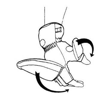 Produktbild Matin Outdoor-Fotohandschuhe