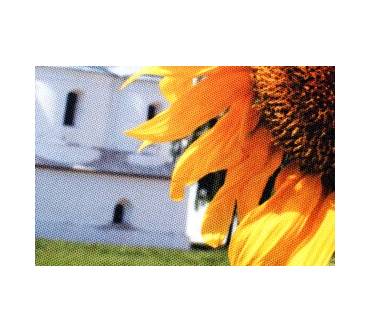 Produktbild Posterjack.de Foto-Leinwand