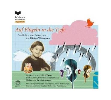 Produktbild Mirjam Wiesemann Auf den Flügeln in die Tiefe